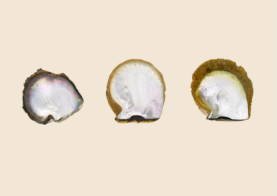 What is a South Sea Pearl?